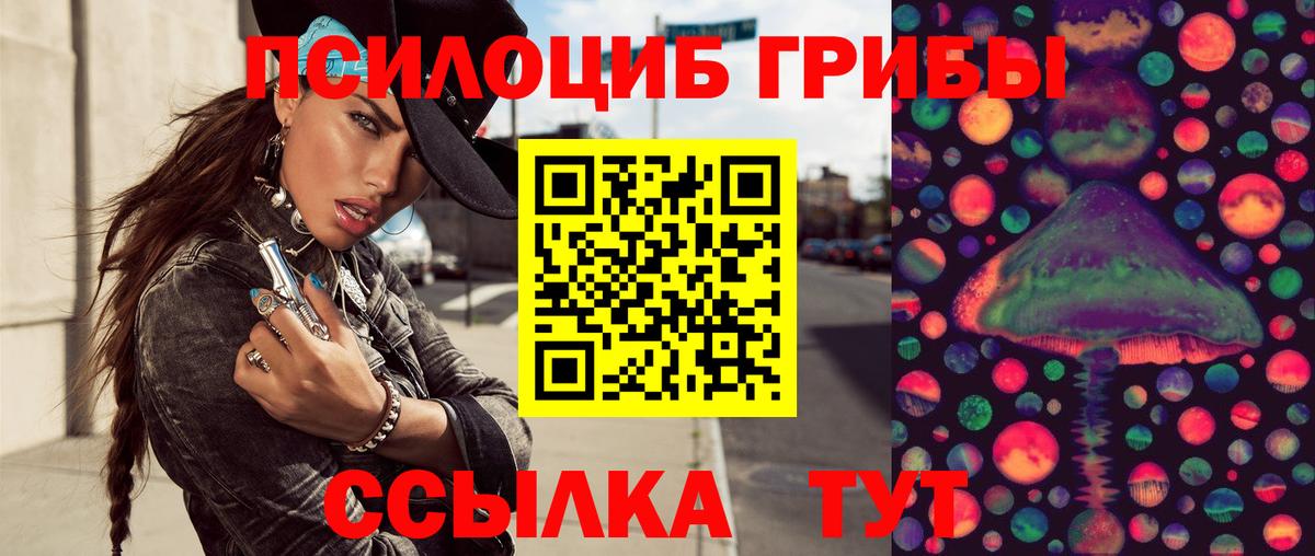 Псилоцибиновые грибы MAGIC MUSHROOMS Протвино