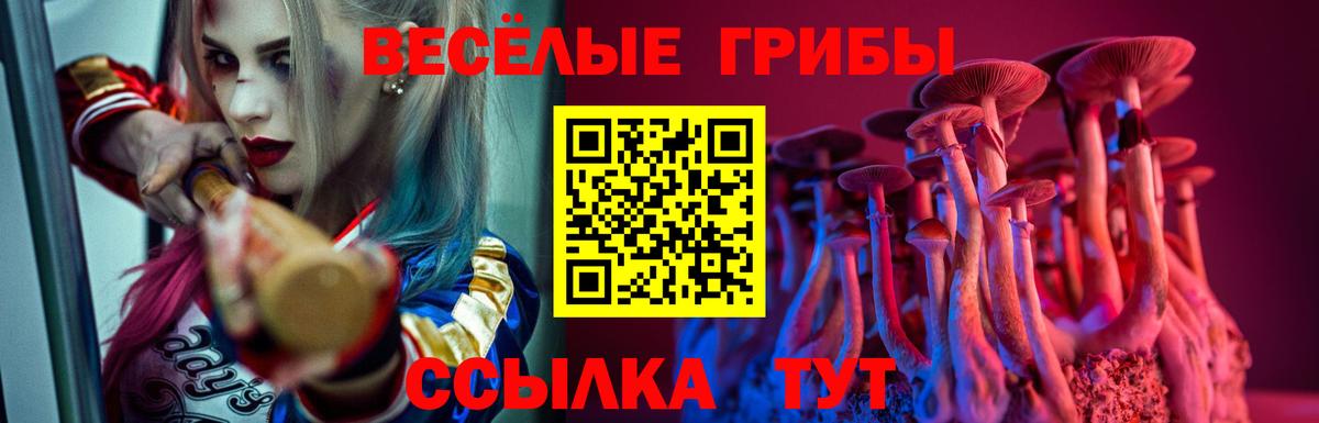 Псилоцибиновые грибы Psilocybine cubensis  Вход с VPN  Псилоцибиновые грибы ЛСД  Протвино 
