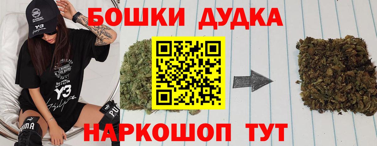 Каннабис индика Протвино