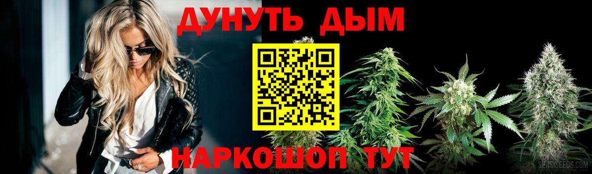 Каннабис сатива  Вход с VPN  Конопля марихуана  Марихуана White Widow  Протвино  Канабис гибрид 